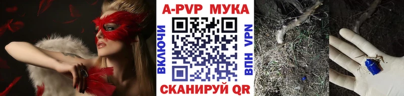 APVP СК КРИС  Майкоп 