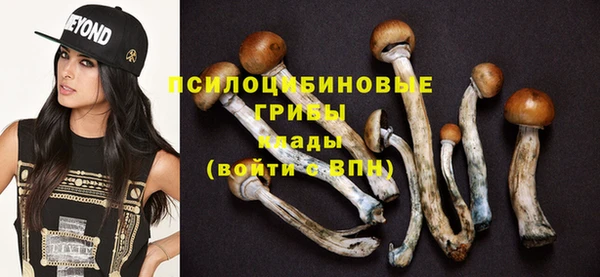 МДПВ Михайлов
