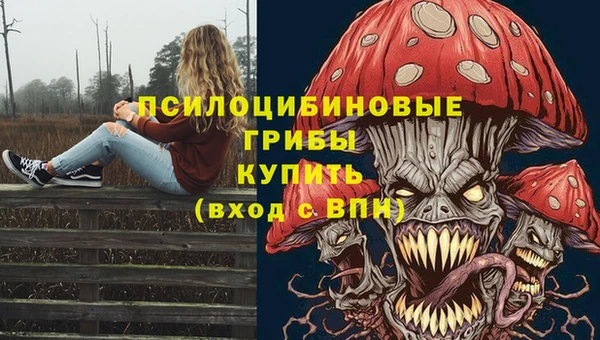 герыч Алзамай