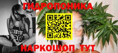 ECSTASY Кингисепп