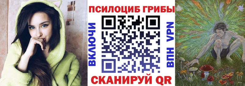 хочу наркоту  Майкоп  Галлюциногенные грибы MAGIC MUSHROOMS 