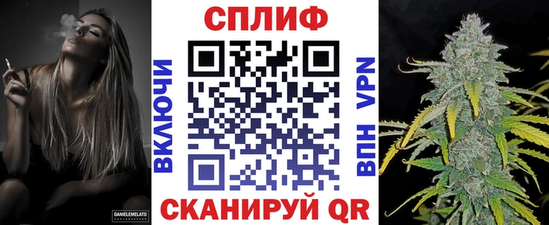 Шишки марихуана тримм  мориарти телеграм  Майкоп  как найти наркотики 